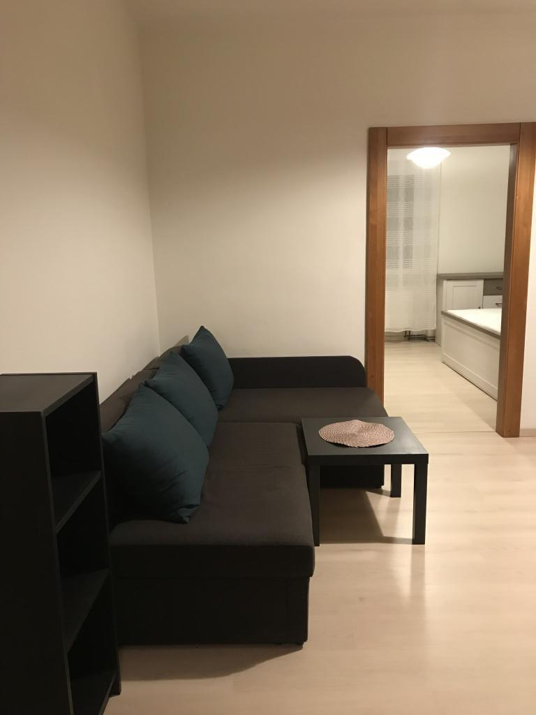 Pronájem bytu 1+1 45 m2