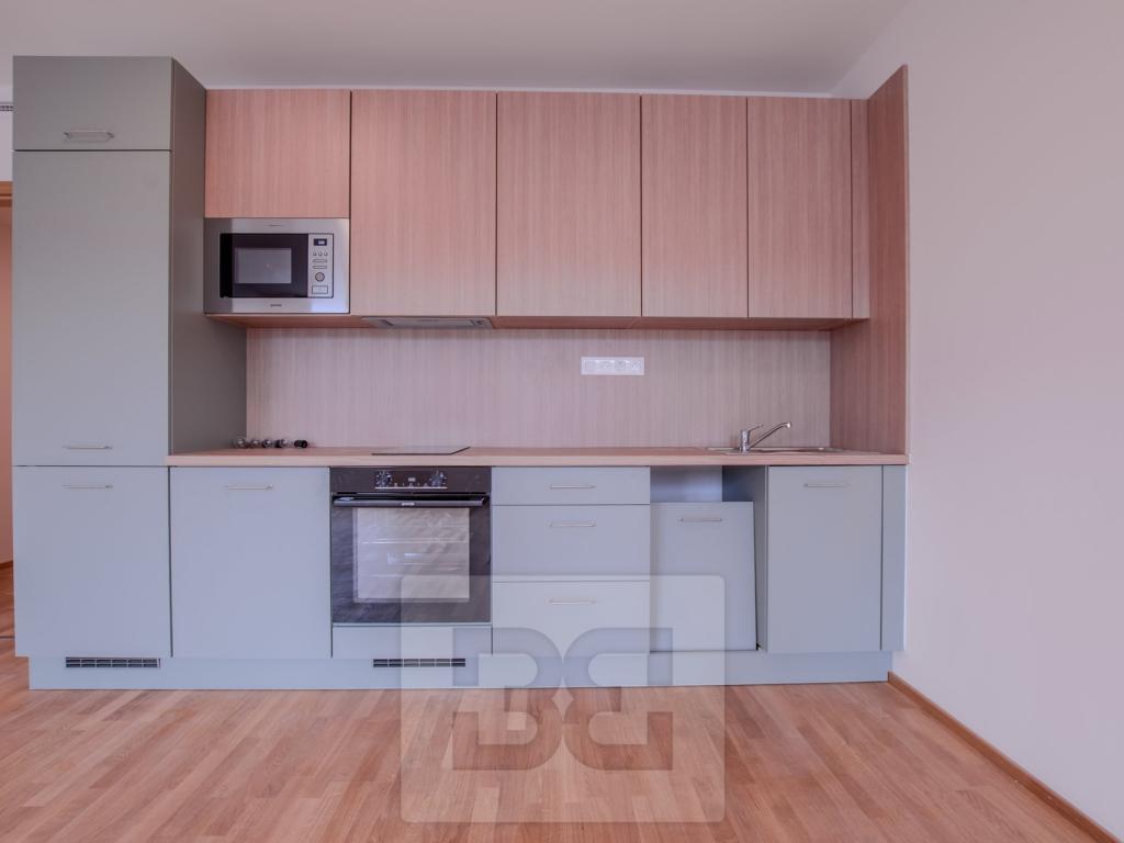 Pronájem bytu 1+kk 42 m2