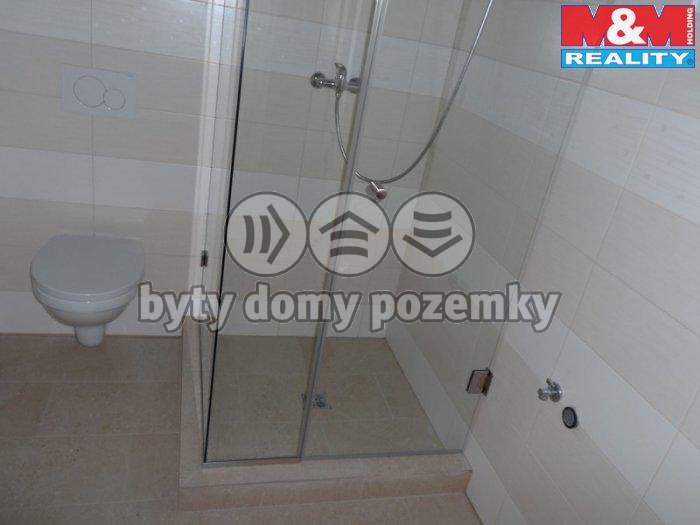 Pronajem bytu 1+kk 40 m2