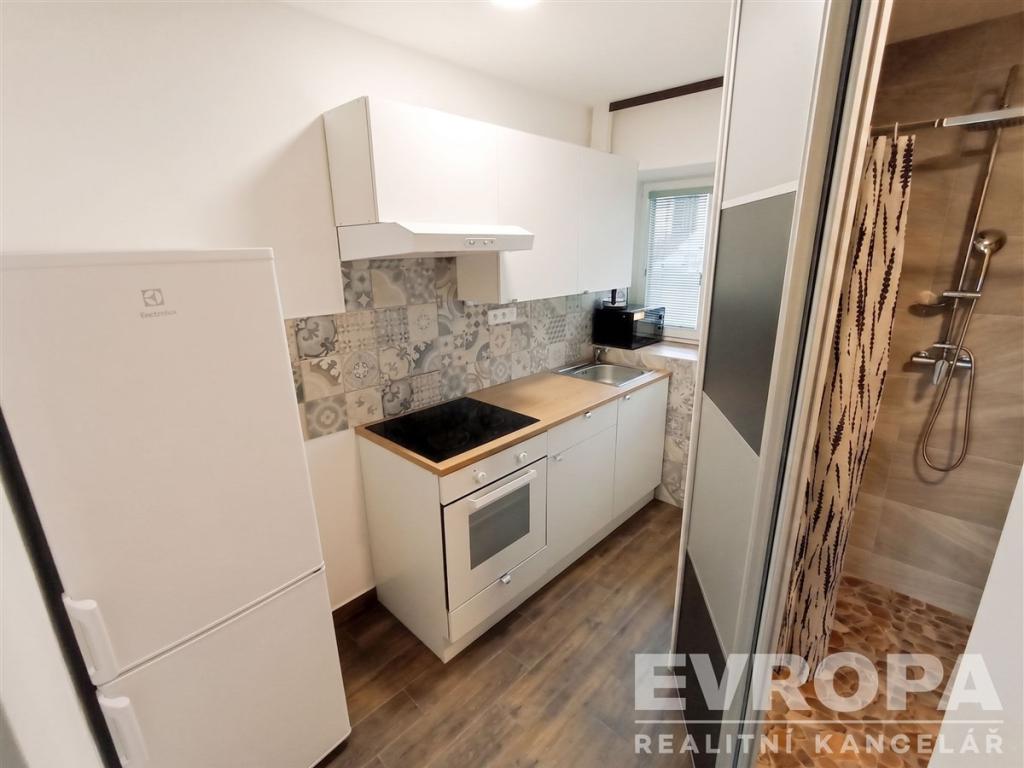 Pronájem bytu 1+1 30 m2