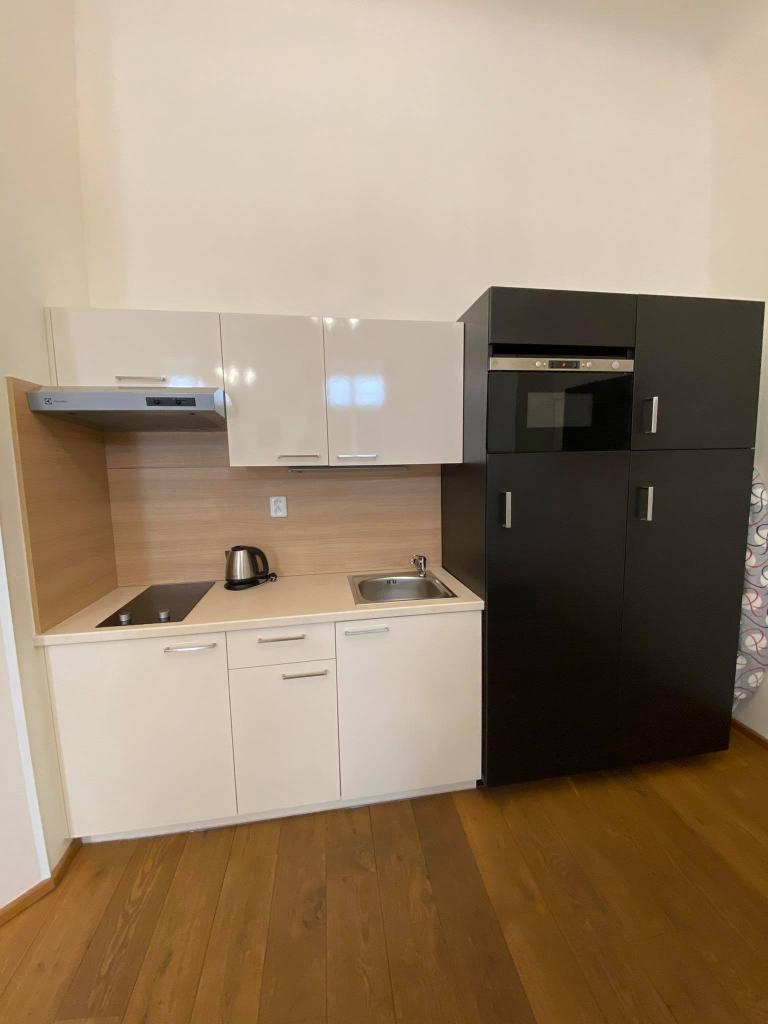 Pronajem bytu 1+kk 40 m2