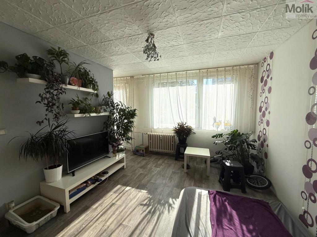 Pronájem bytu 1+1 26 m2, Most – náhled fotky 2