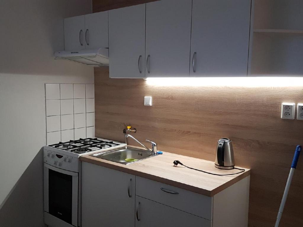 Pronájem bytu 2+1 45 m2