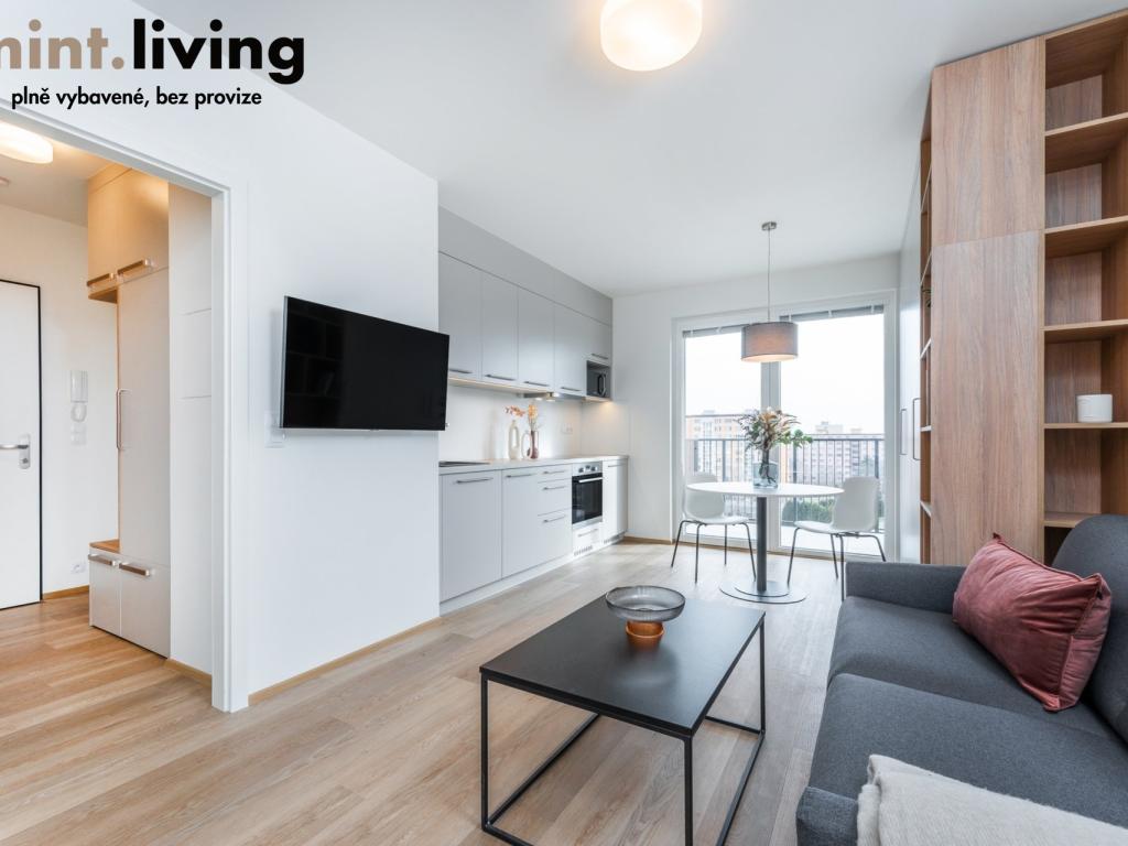 Pronájem bytu 1+kk 39 m2