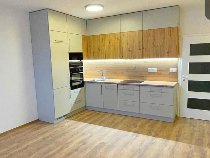 Pronájem bytu 1+kk 43 m2