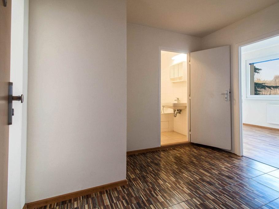 Pronajem bytu 2+kk 52 m2