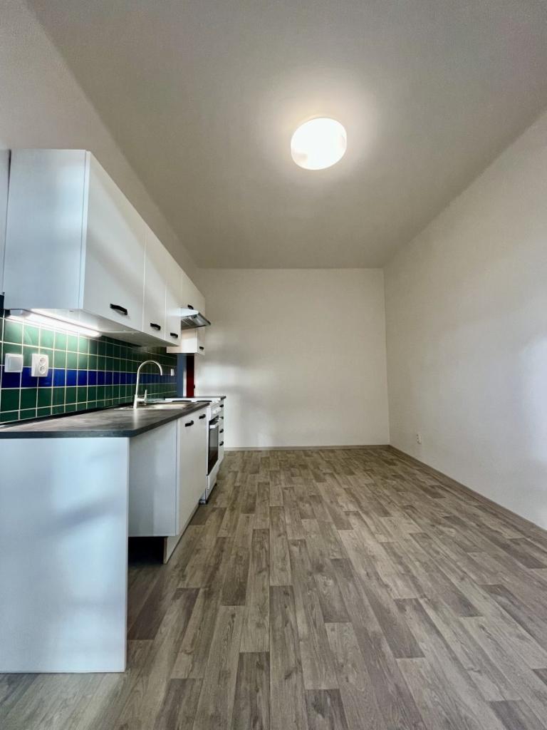 Pronájem bytu 1+1 50 m2
