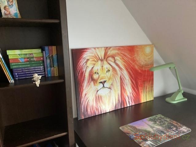 Spolubydlení 130 m2