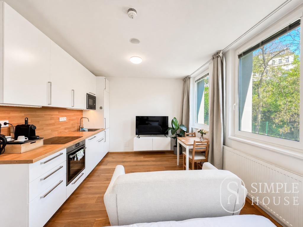 Pronájem bytu 1+kk 30 m2