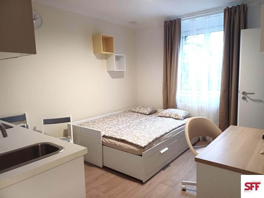 Pronájem bytu 1+kk 19 m2