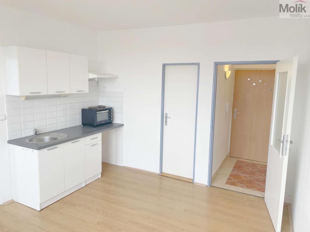 Pronájem bytu 1+1 36 m2