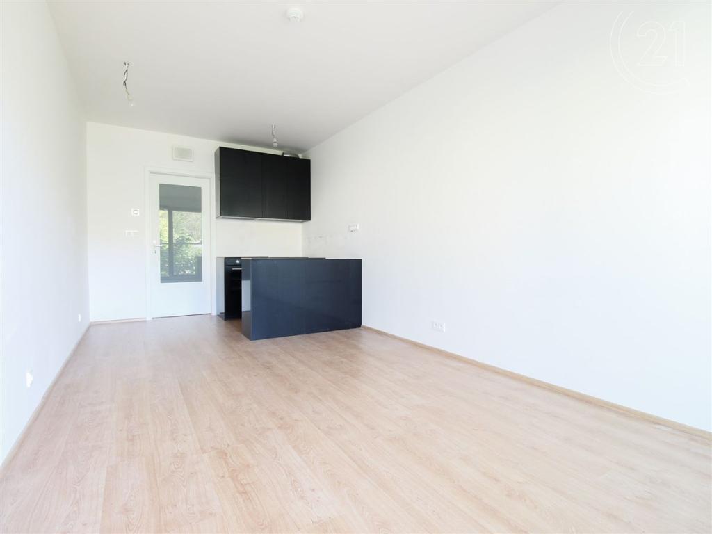 Pronájem bytu 1+kk 30 m2