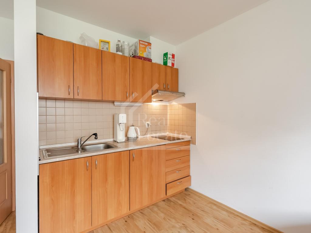 Pronájem bytu 1+kk 37 m2