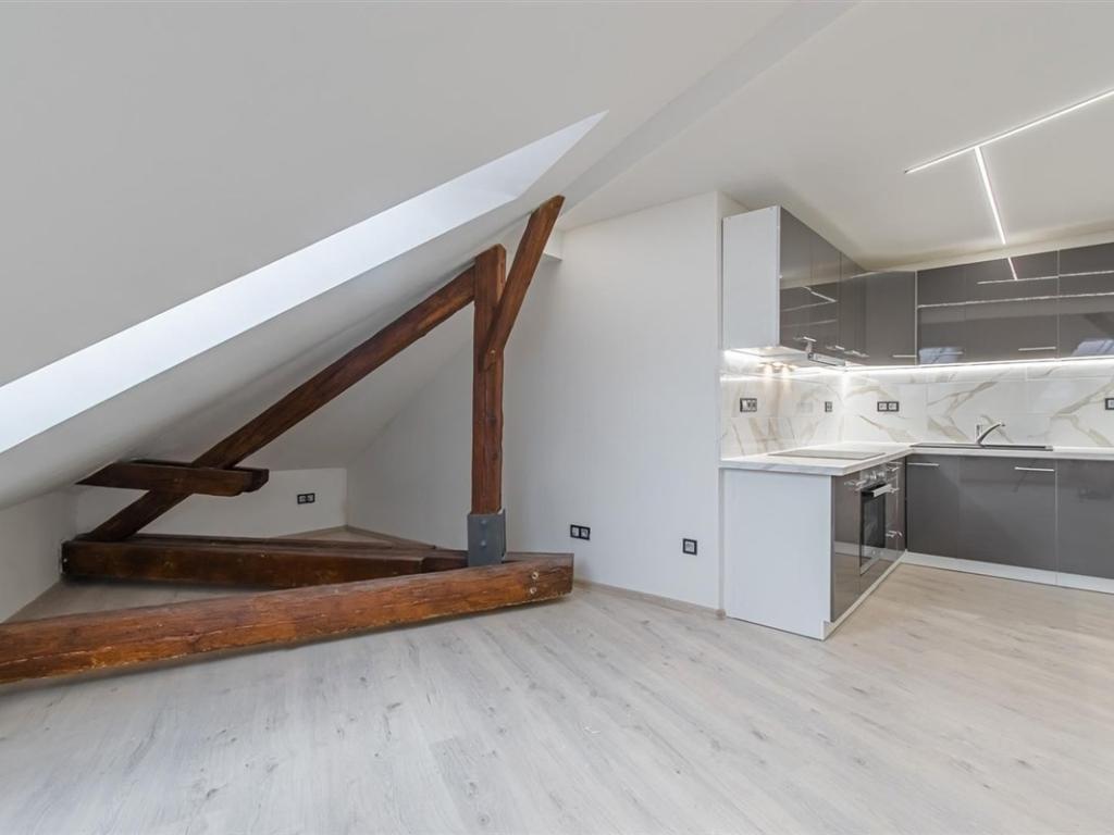 Pronájem bytu 1+kk 48 m2