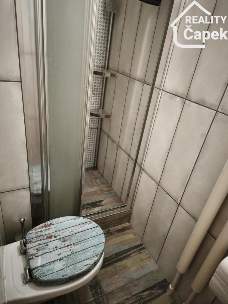 Pronájem bytu 1+kk 30 m2