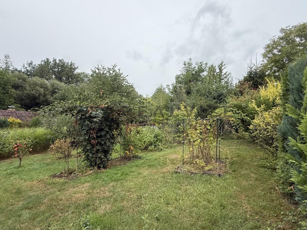 Prodej domu 20 m2, Horní Stropnice – náhled fotky 9