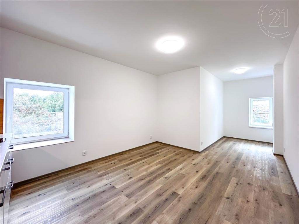 Pronájem bytu 1+kk 45 m2