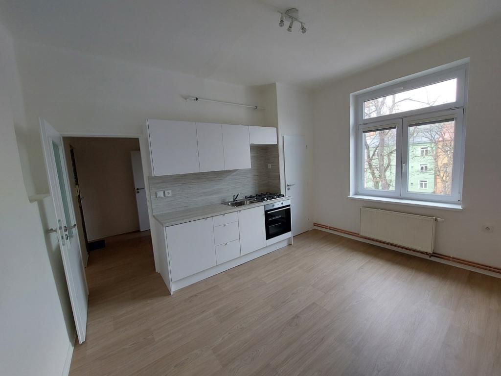 Pronájem bytu 1+1 47 m2