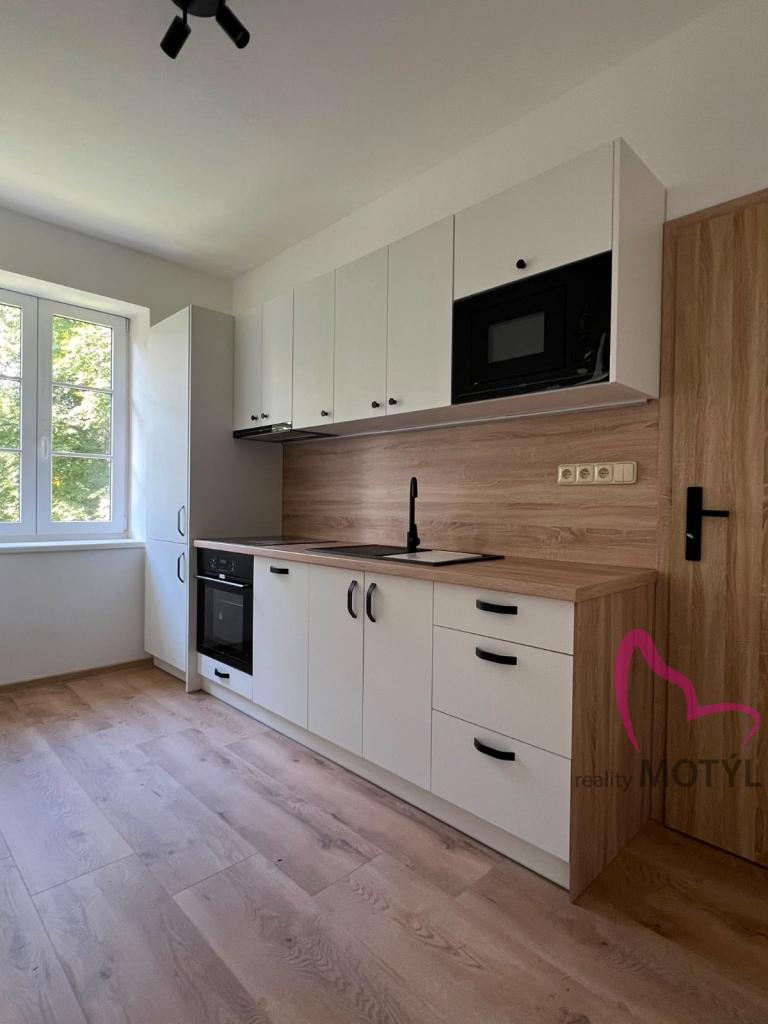 Pronájem bytu 1+1 38 m2