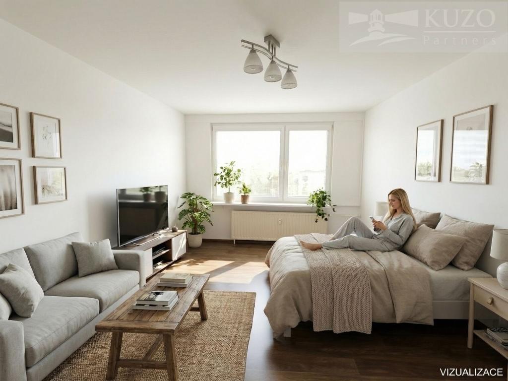 Pronájem bytu 1+kk 30 m2
