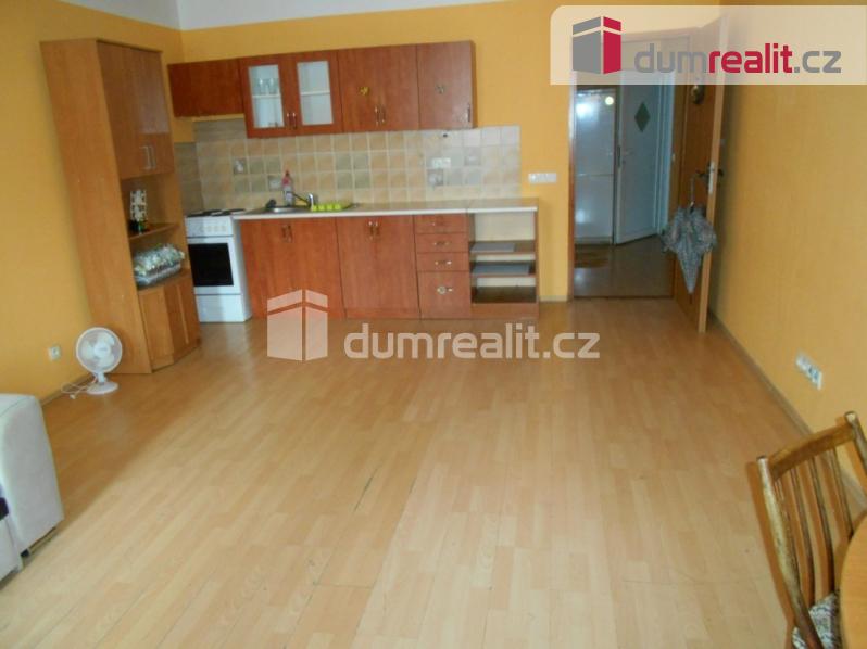 Pronájem bytu 1+kk 43 m2