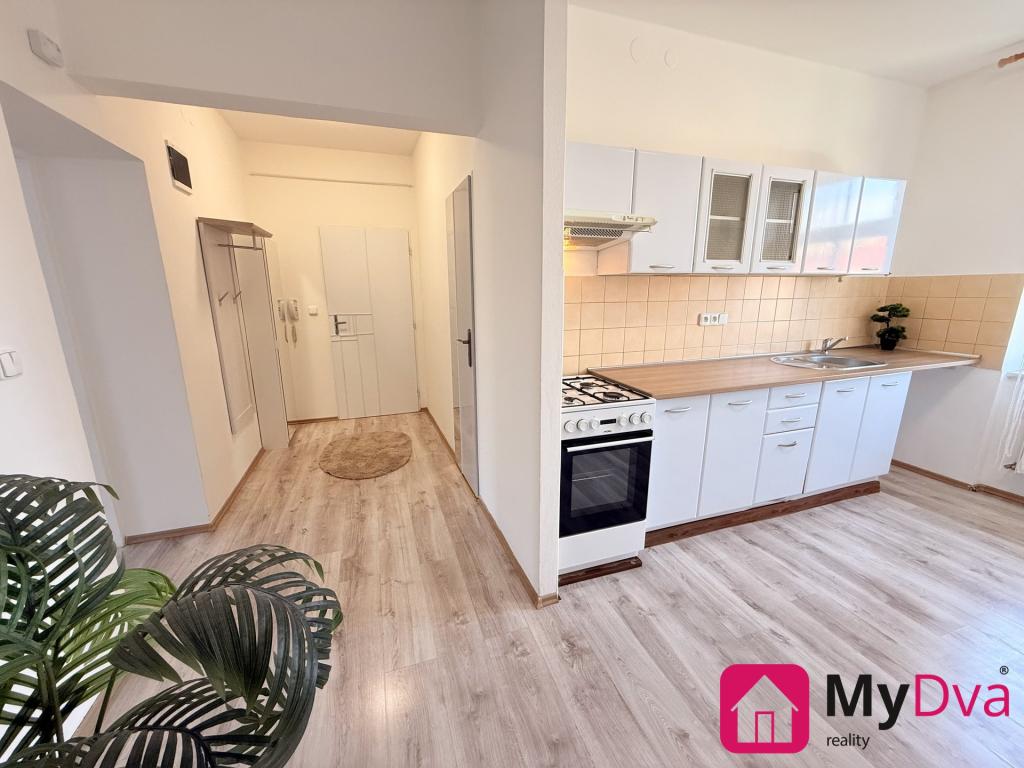 Pronájem bytu 2+1 55 m2