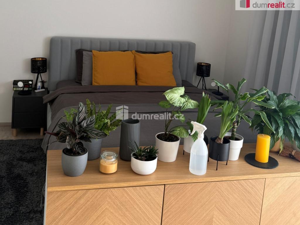 Pronájem bytu 1+kk 37 m2