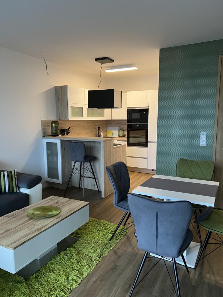 2-room apartment for rent · 46 m² · Plzeň — 750 €/mo