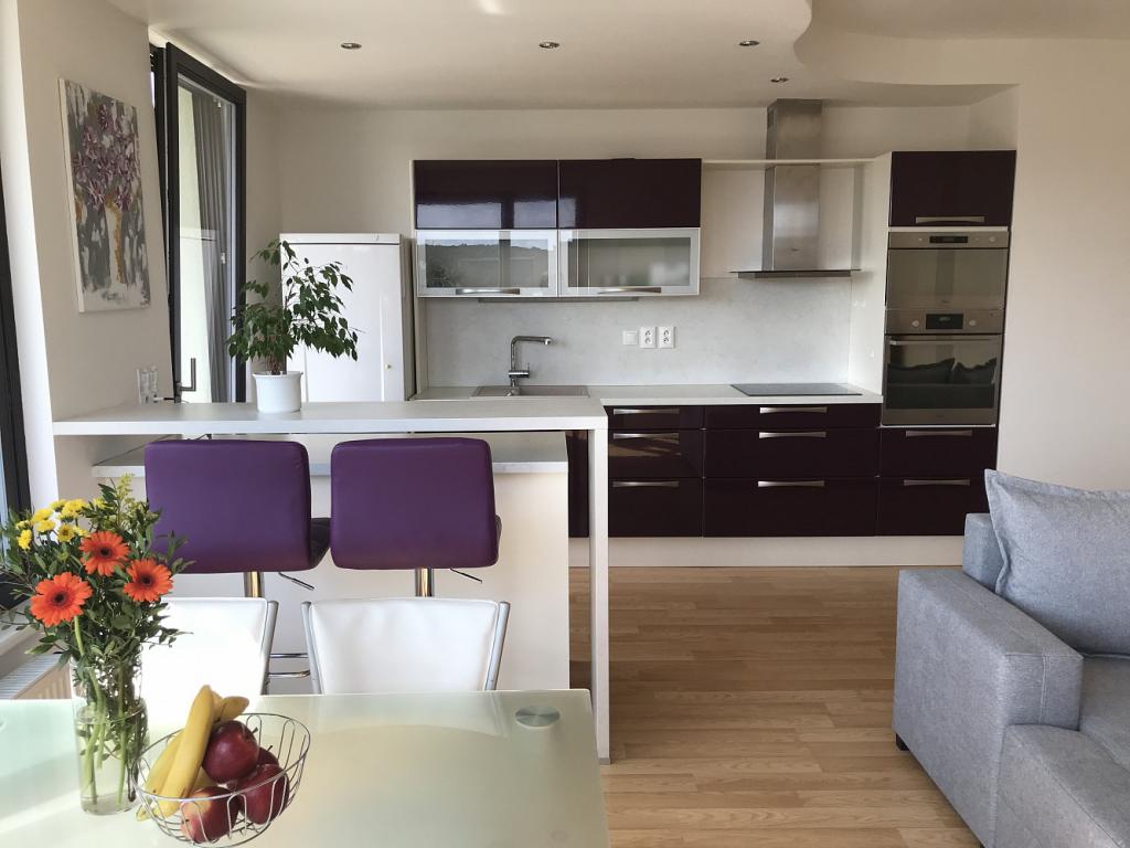 Pronajem bytu 2+kk 55 m2