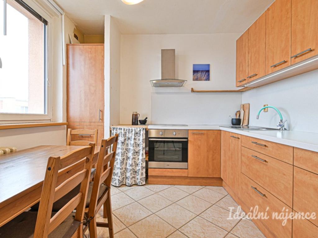 Pronájem bytu 1+1 45 m2