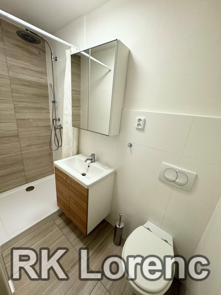Pronájem bytu 2+1 44 m2