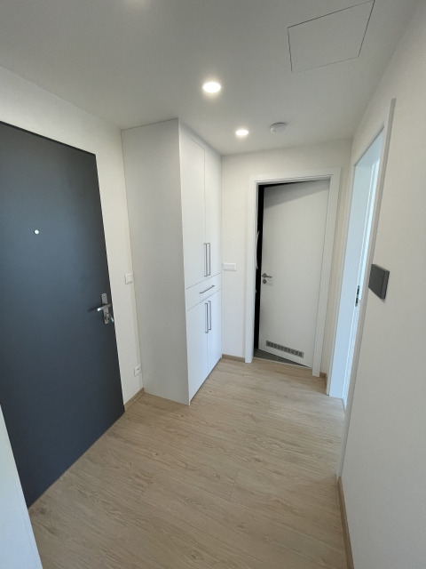 Pronájem bytu 3+kk 110 m2, Praha – náhled fotky 11