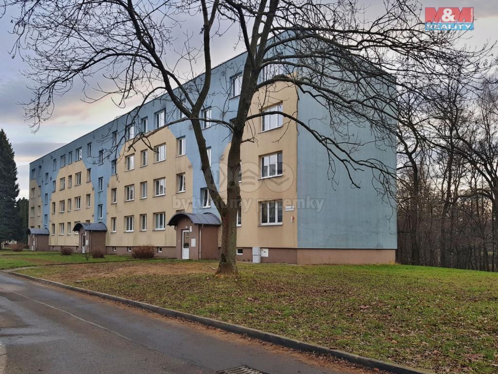 Pronajem bytu 2+1 47 m2