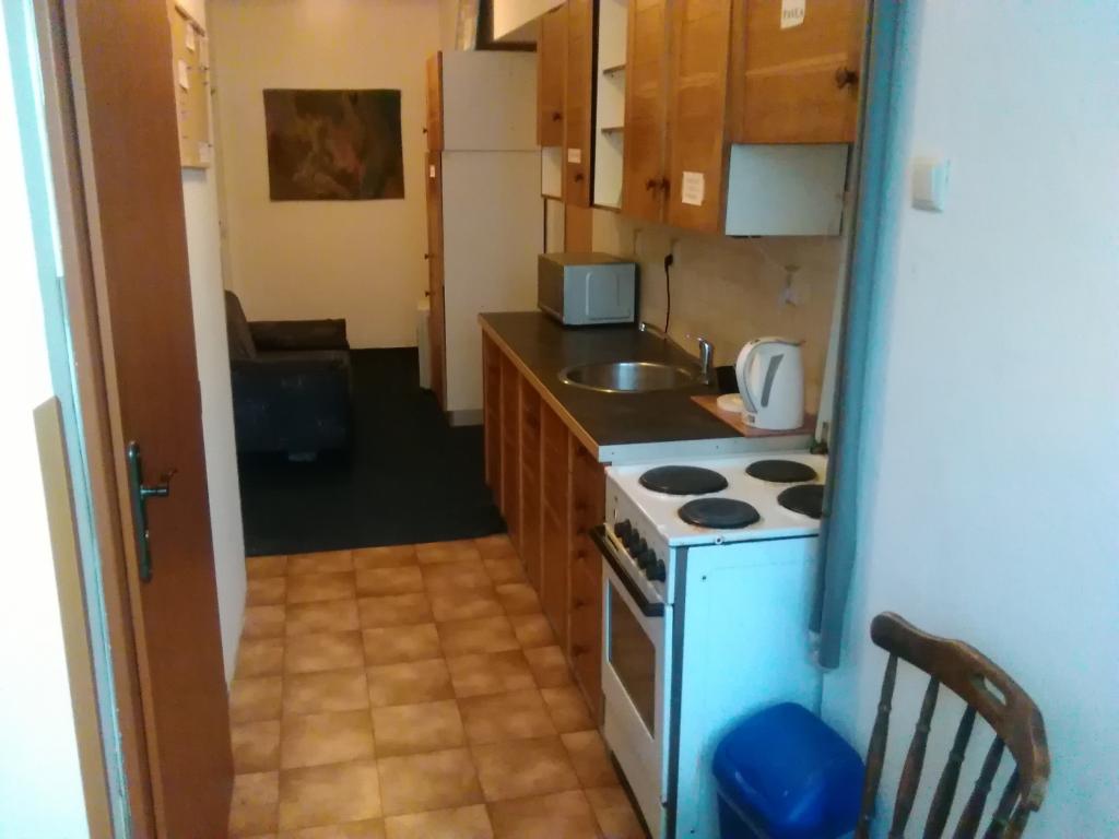 Spolubydleni bytu celý pokoj 18 m2