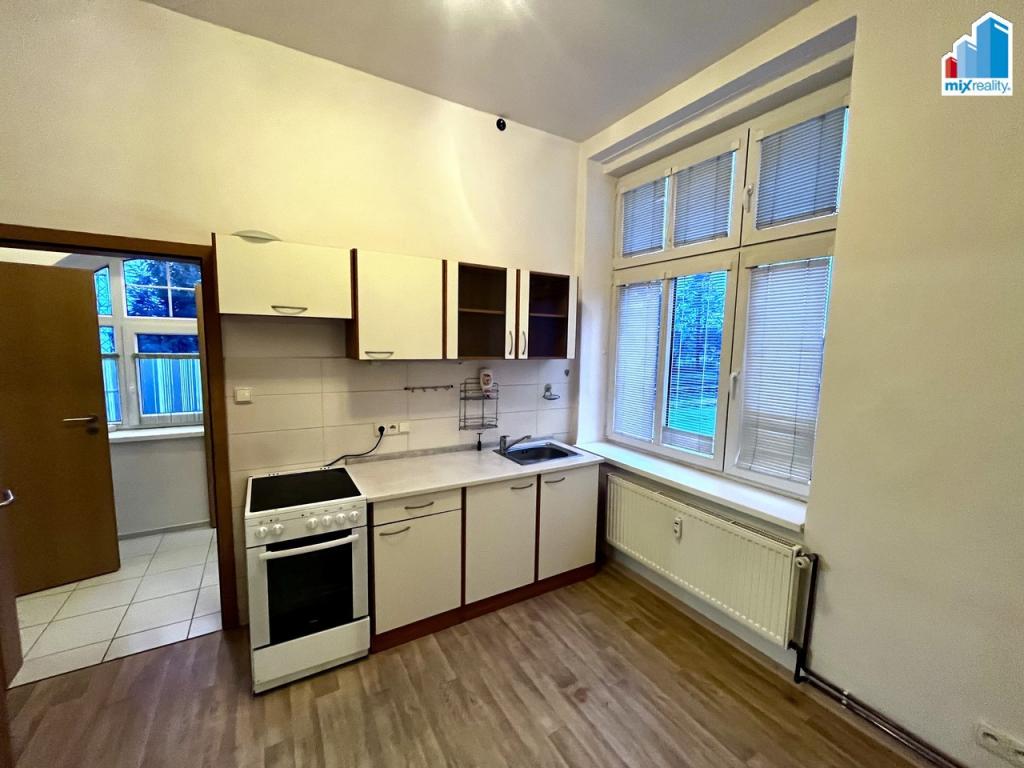 Pronájem bytu 1+1 45 m2