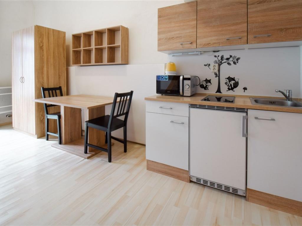 Pronájem bytu 1+kk 20 m2