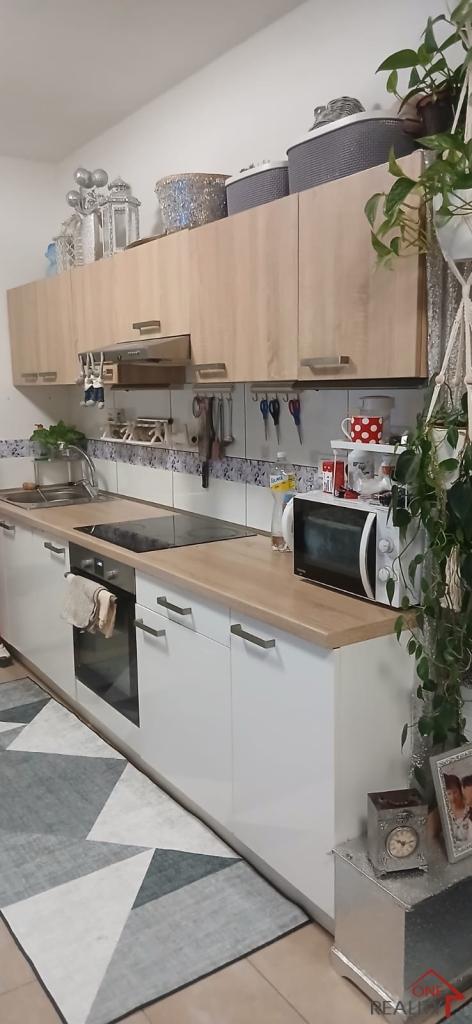 Pronájem bytu 1+kk 55 m2