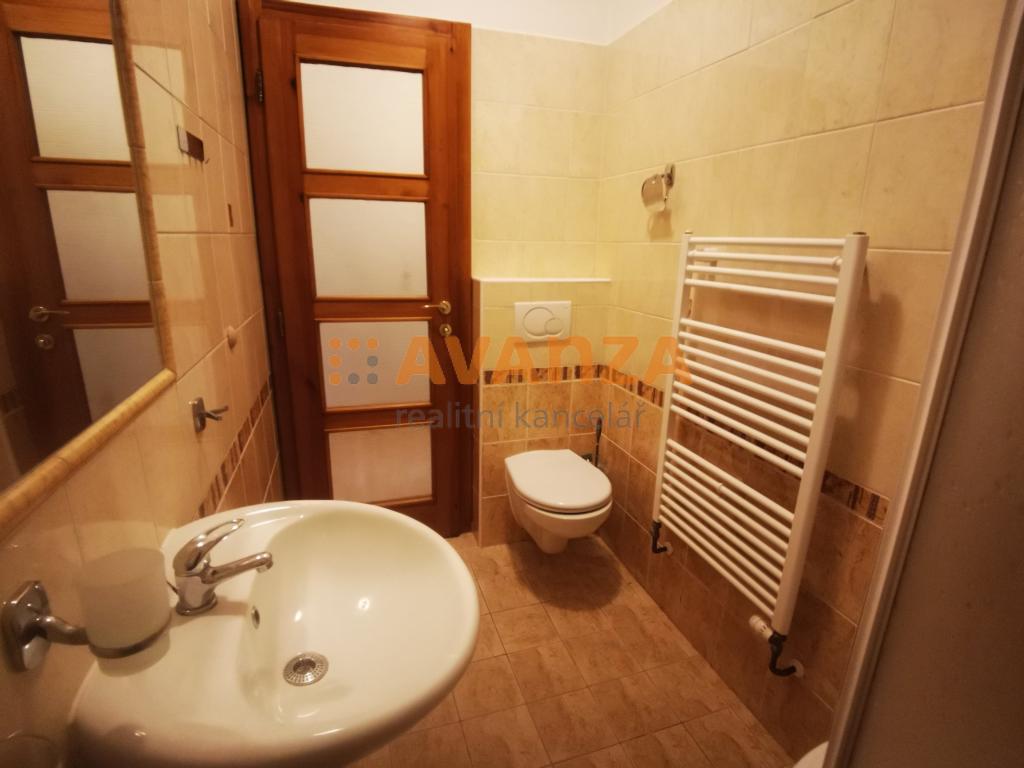 Pronájem bytu 2+1 65 m² – další
