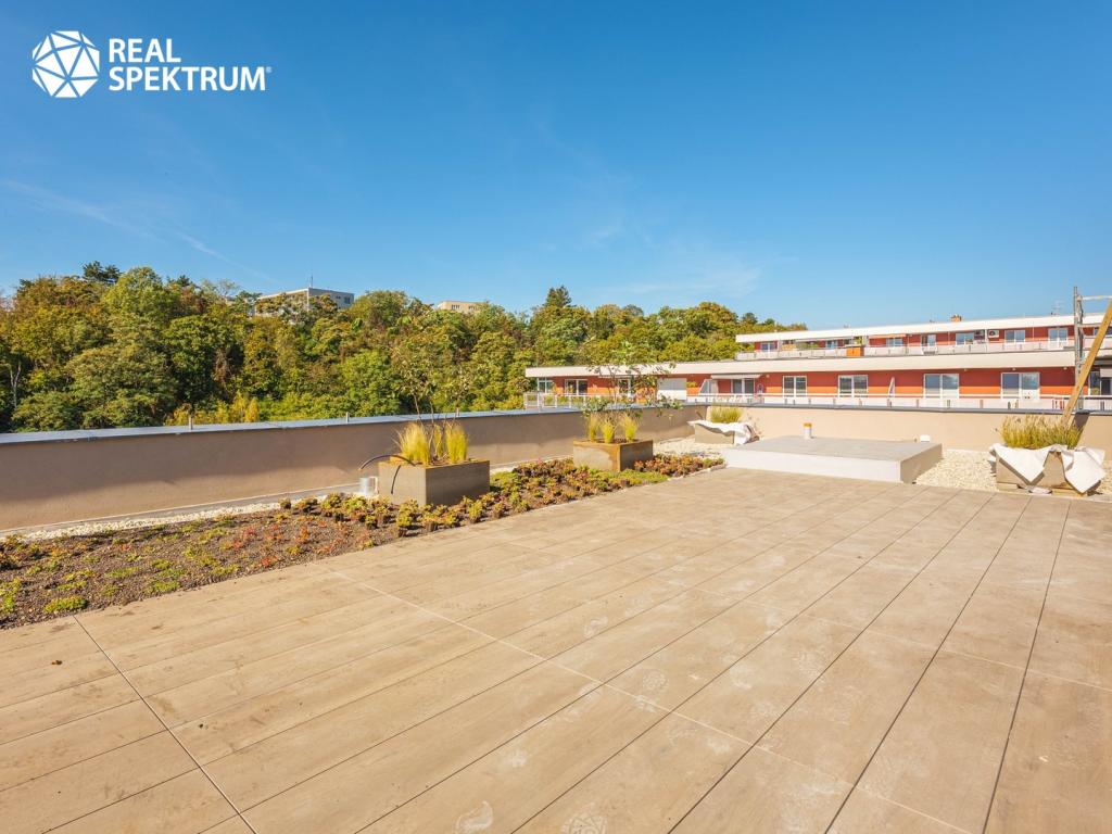 Pronájem bytu 3+kk 61 m2, Brno – náhled fotky 22