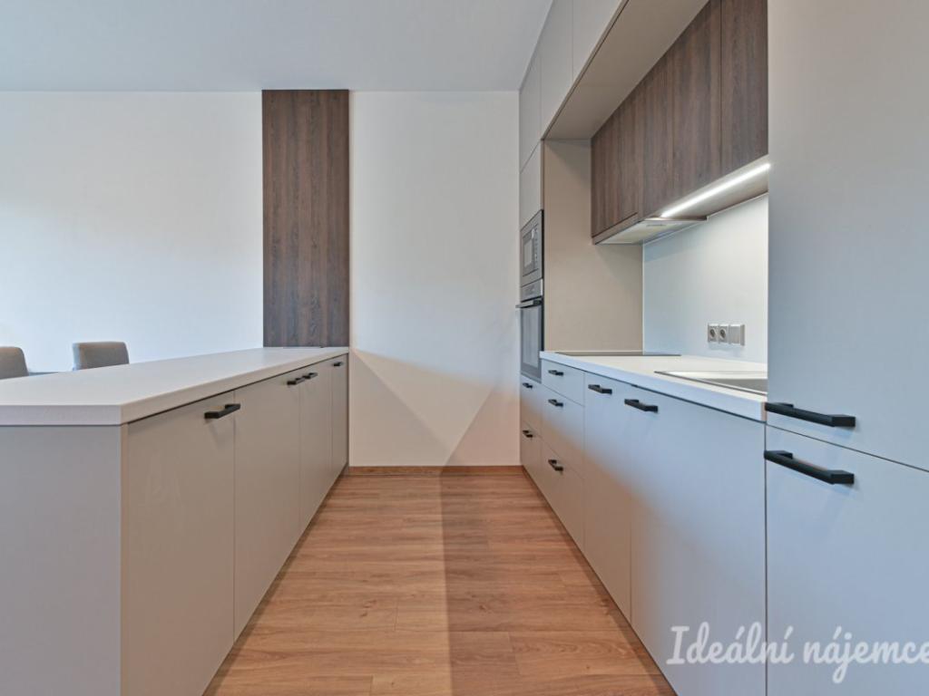 Pronájem bytu 1+kk 39 m2