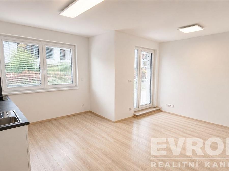 Pronájem bytu 1+kk 41 m2