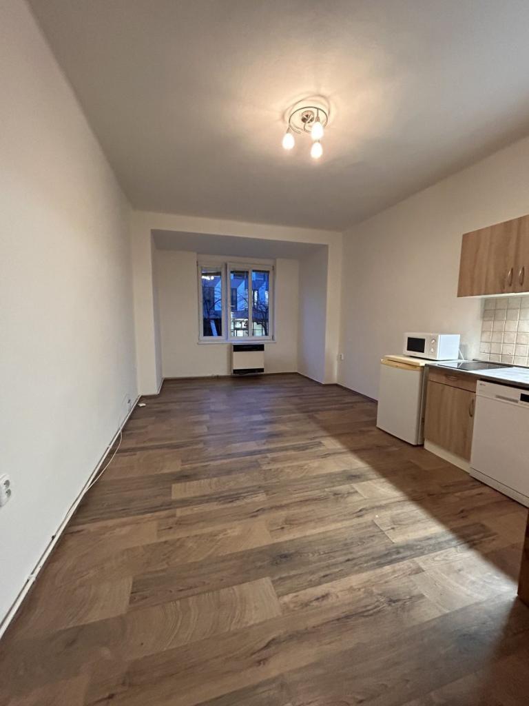 Pronájem bytu 1+kk 34 m2