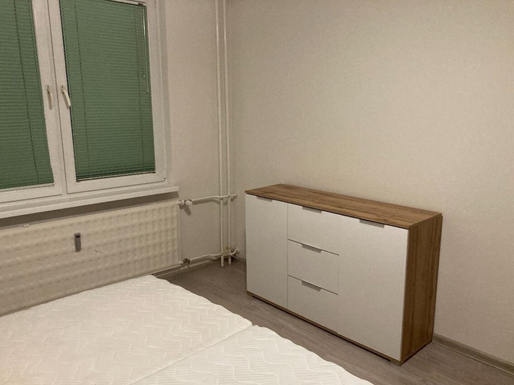 Pronájem bytu 1+1 46 m² – pohled 6