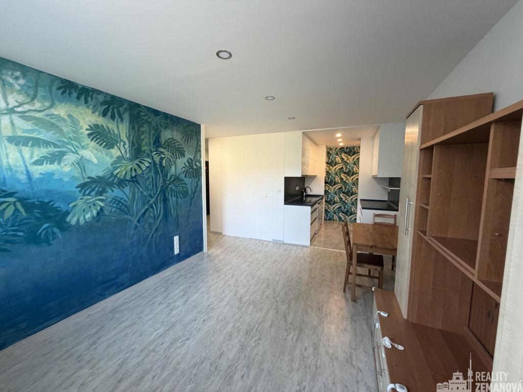 Pronájem bytu 3+kk 54 m2