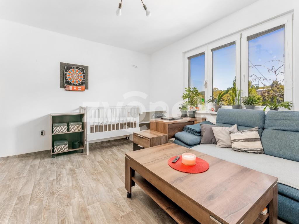 Pronájem bytu 2+1 59 m2