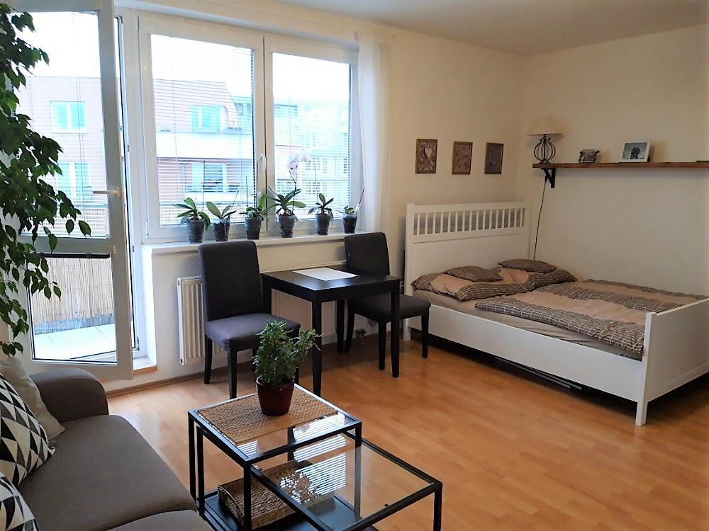 Pronájem bytu 1+kk 37 m2