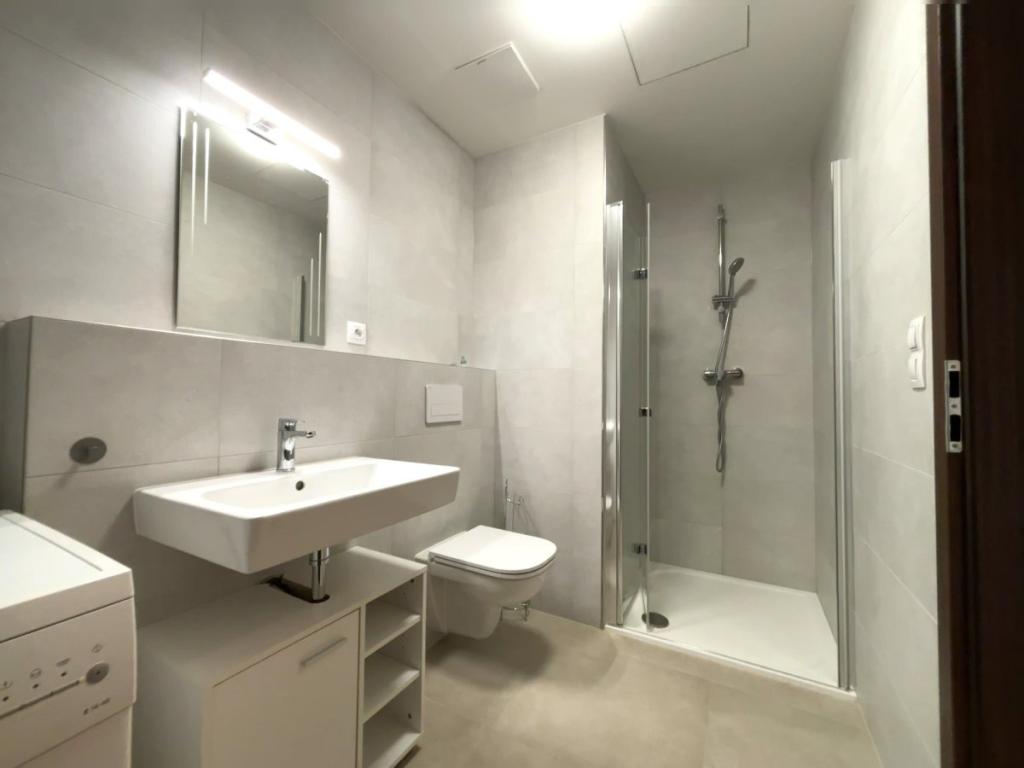 Pronájem bytu 1+kk 36 m2