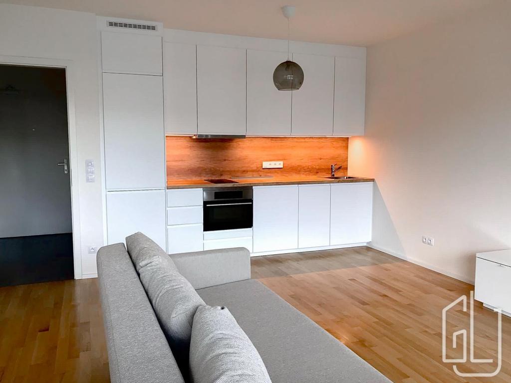 Pronájem bytu 1+kk 48 m2