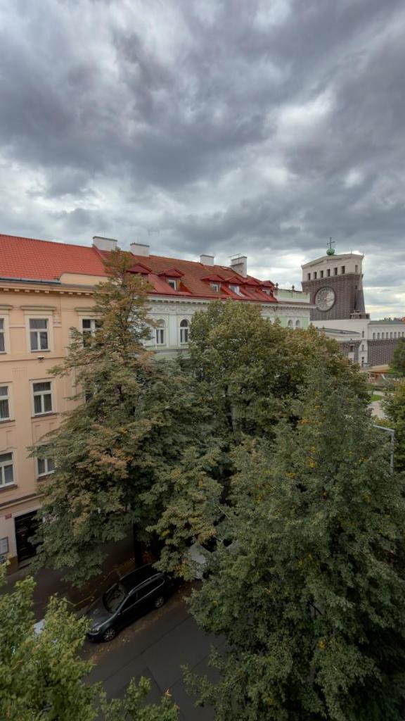 Pronájem bytu 2+1 85 m2, Praha – náhled fotky 18