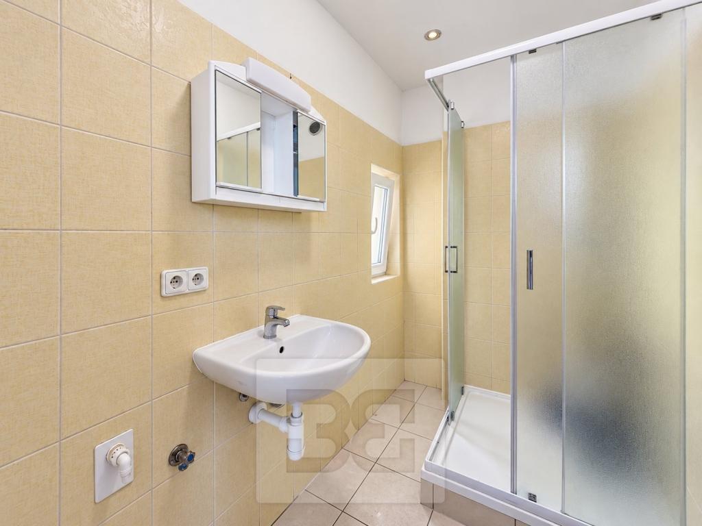 Pronájem bytu 3+1 55 m2